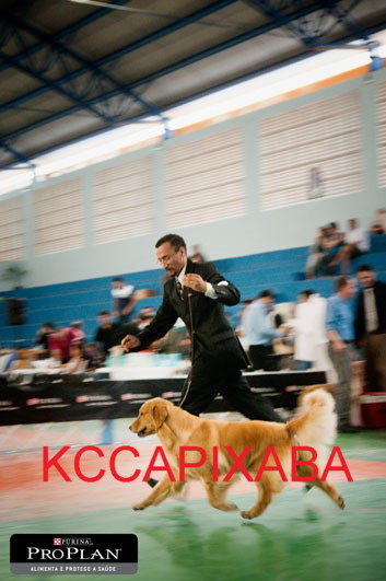 Clique sobre a foto para fechar